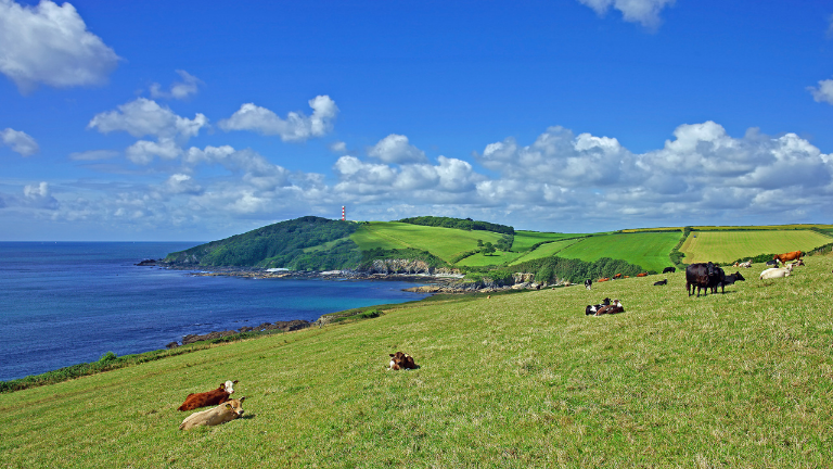 Views over the countryside to Gribben Head