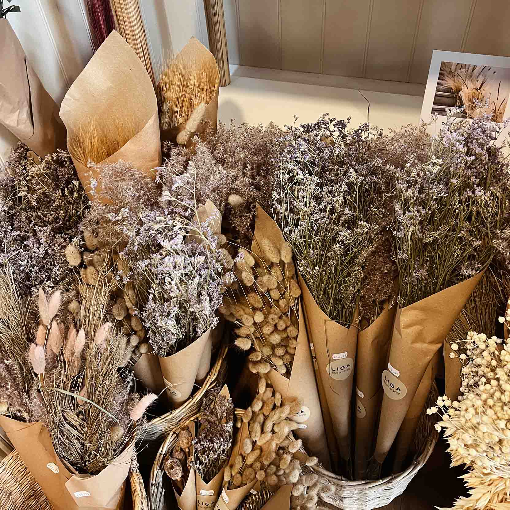 Beautiful dried flowers in Fowey