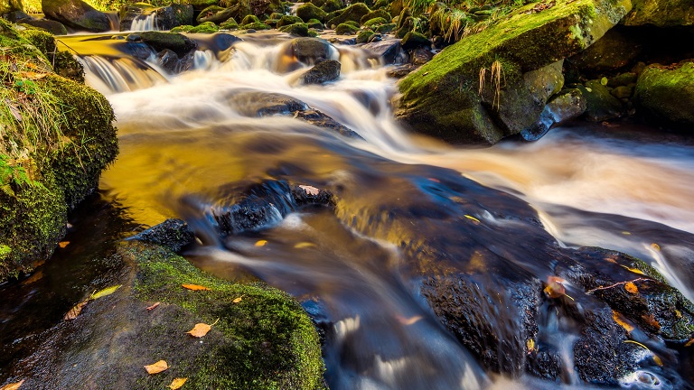 A slow capture of one of the streams flowing through Cardinham Woods in autumn 