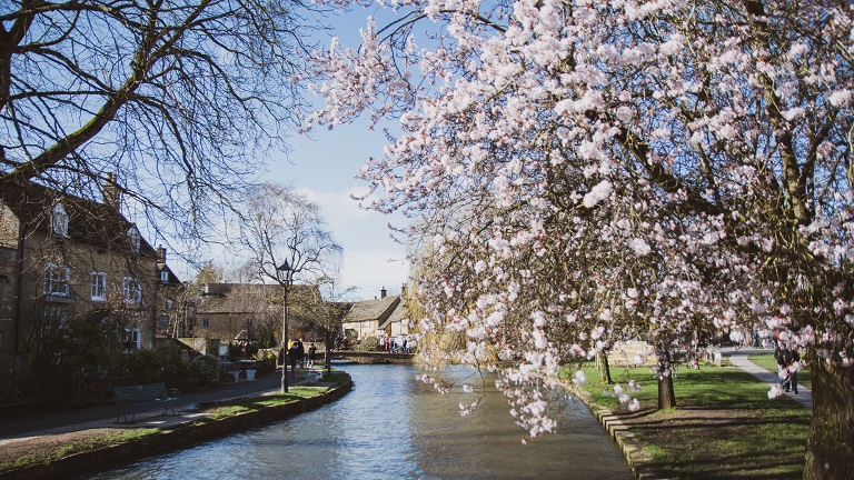 A view over the river in Bourton-on-the-Water in the Gloucestershire Cotswolds, with pretty trees in flower and traditional Cotswolds cottages