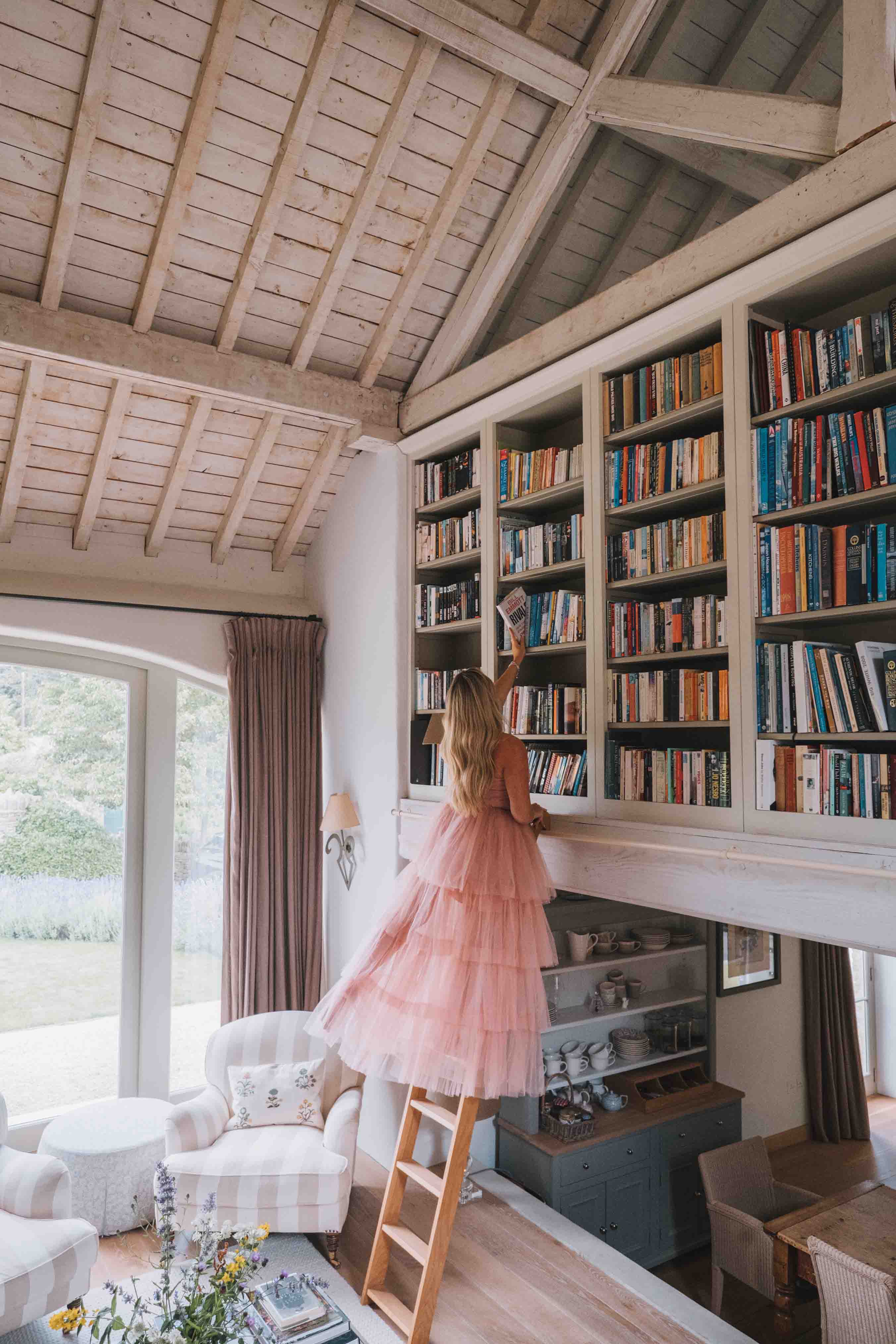 A lady in a flowing pink dress resting on a ladder to choose from a regal bookcase