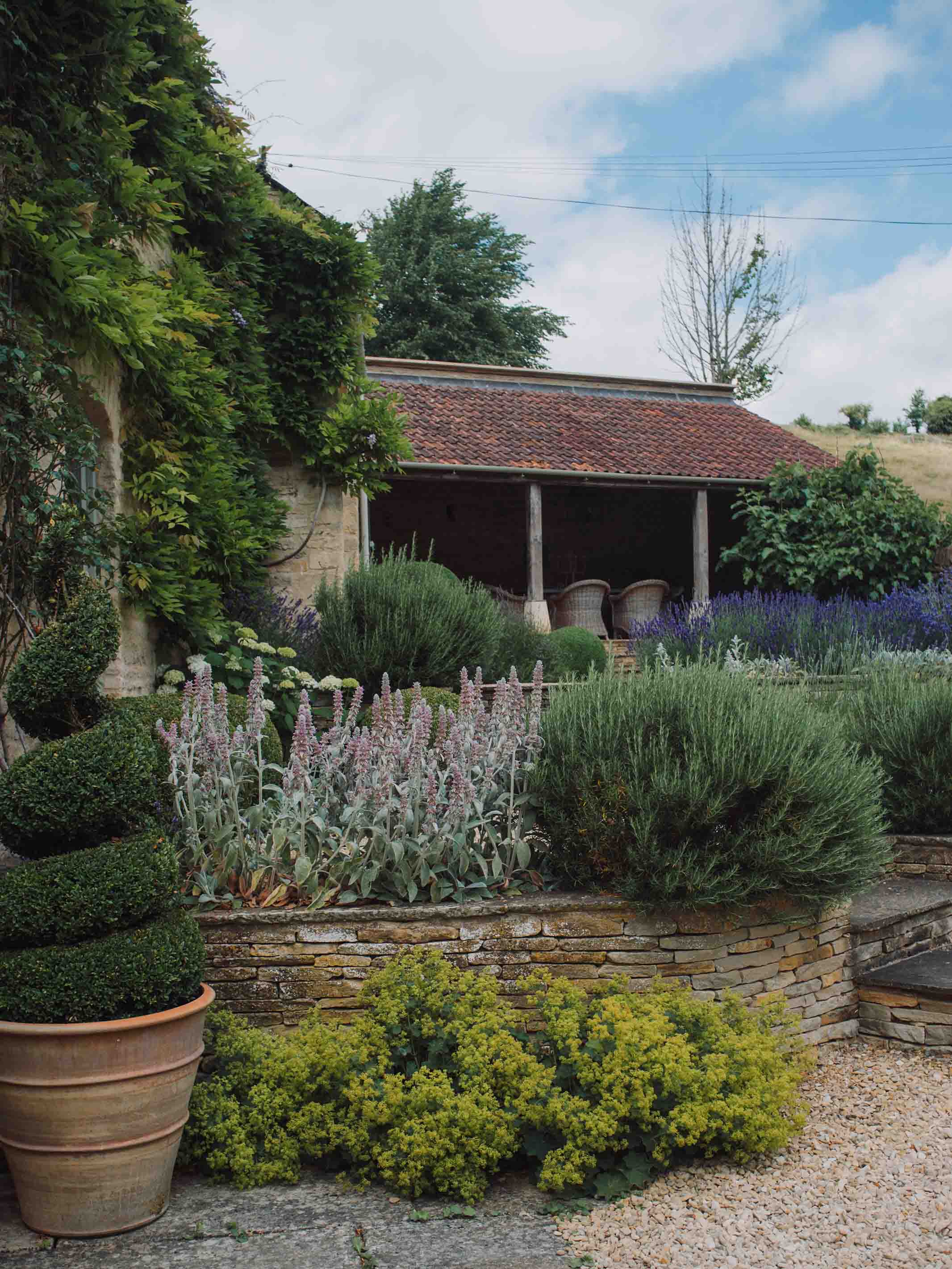 The picturesque gardens of Lavendar planted with wild flowers, herbs and lavender shrubs
