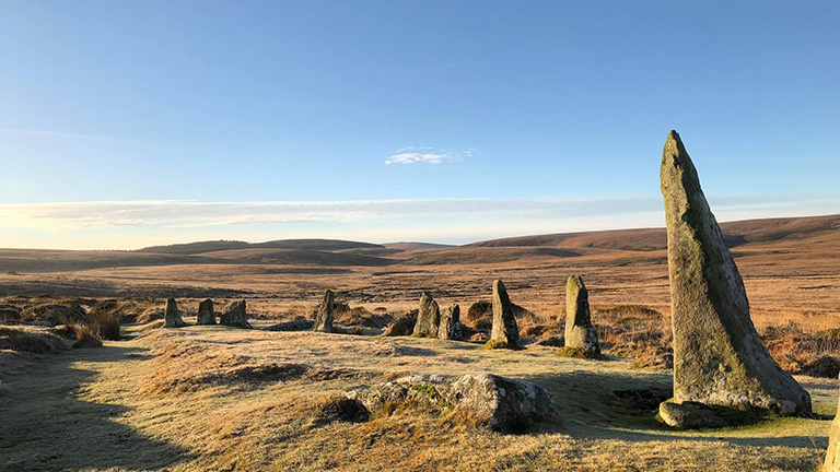 Wild Beauty: The South West Moors