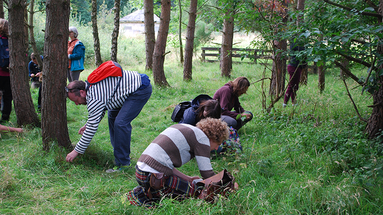 Students learning to forage with Tudor Farmhouse
