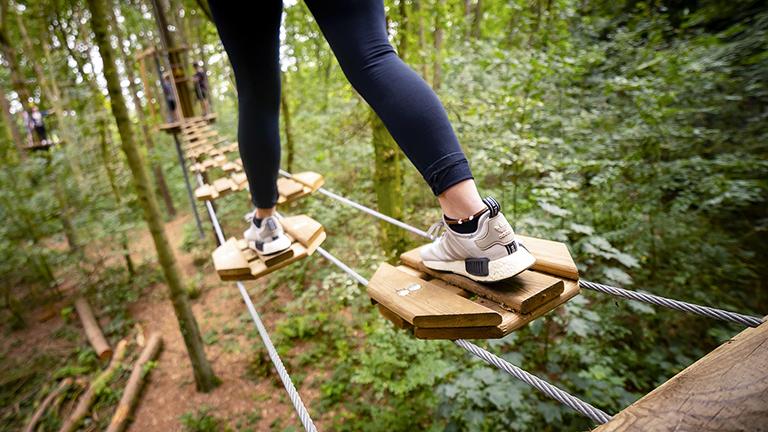 Go Ape in the Forest of Dean
