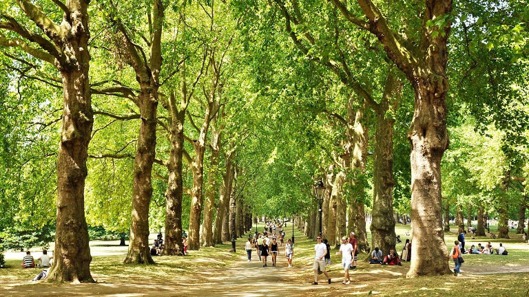 People walking along a tree-lined avenue in London's Green Park, one of the eight Royal Parks
