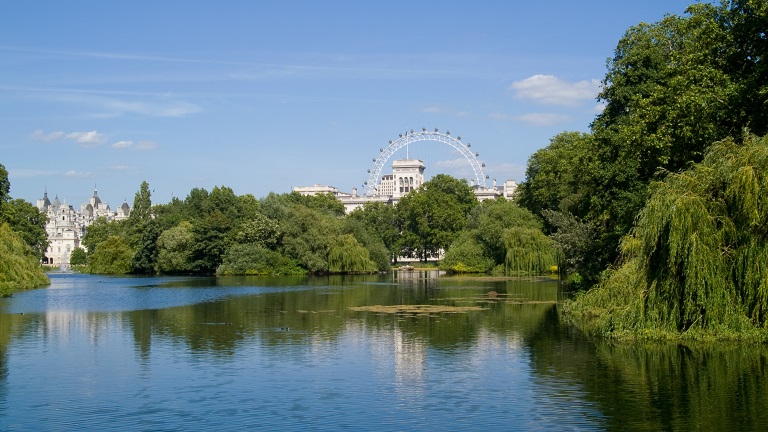 A view of the St James' Park Lake in St James' Park in London, where there are also a local flock of pelicans