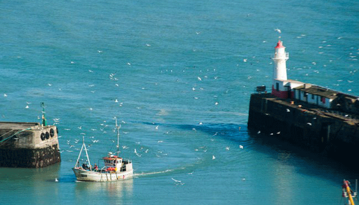 A boat coming into the harbour at Newlyn followed by gulls
