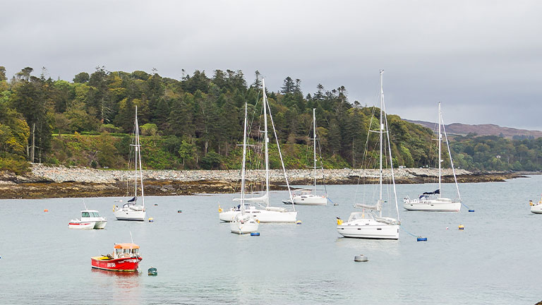 Boats sitting in the water of Armadale Bay, with the pebble beach and trees behind