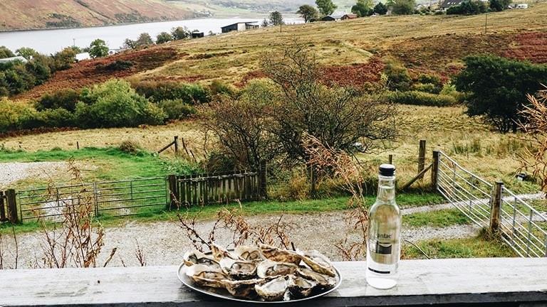 A bowl of fresh oysters overlooking the beautiful view at The Oyster Shed on the Isle of Skye