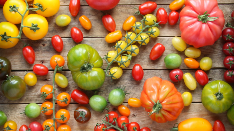 A selection of tomatoes from The Tomato Stall, which are sold at Stuart Lowen in Minehead | Photo by Stuart Lowen