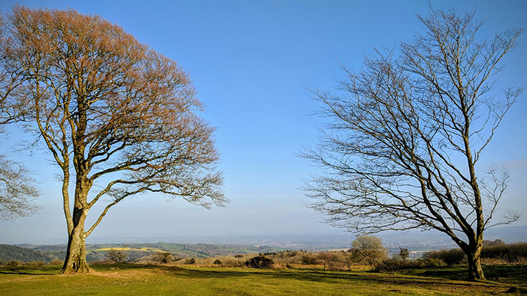 Cothelstone Hill, aka Seven Sisters, in the Quantocks Hills