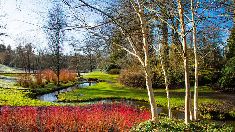 Manicured gardens and a winding stream at Windsor Great Park