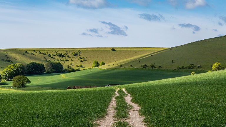 South Downs National Park, Sussex