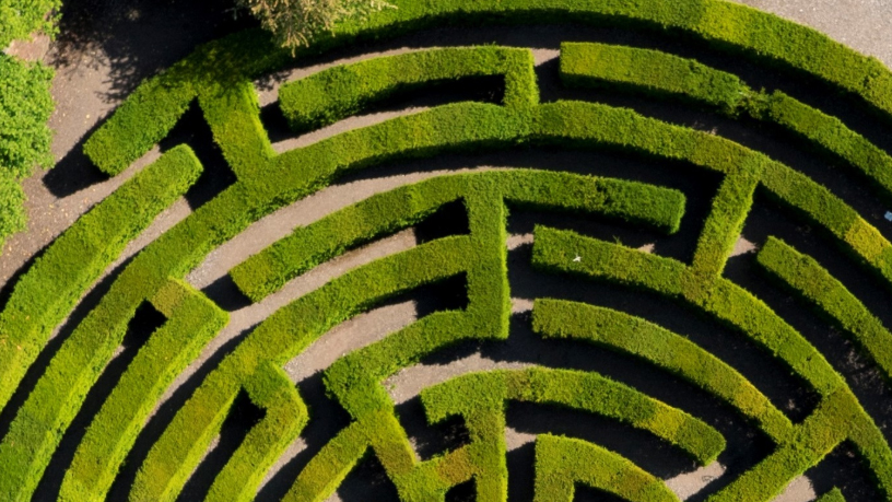 An aerial view of a maze in the grounds of Stansted Park