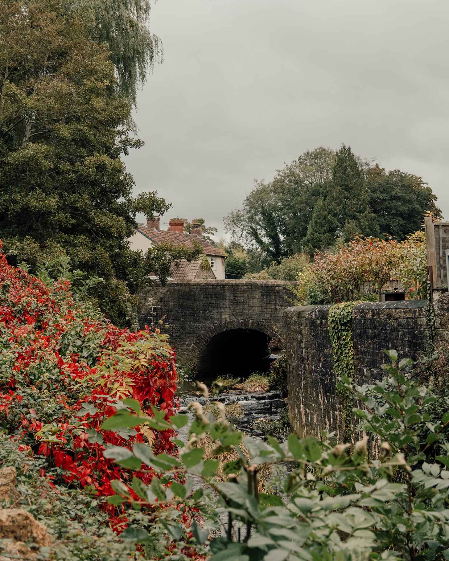 River Brue in Bruton