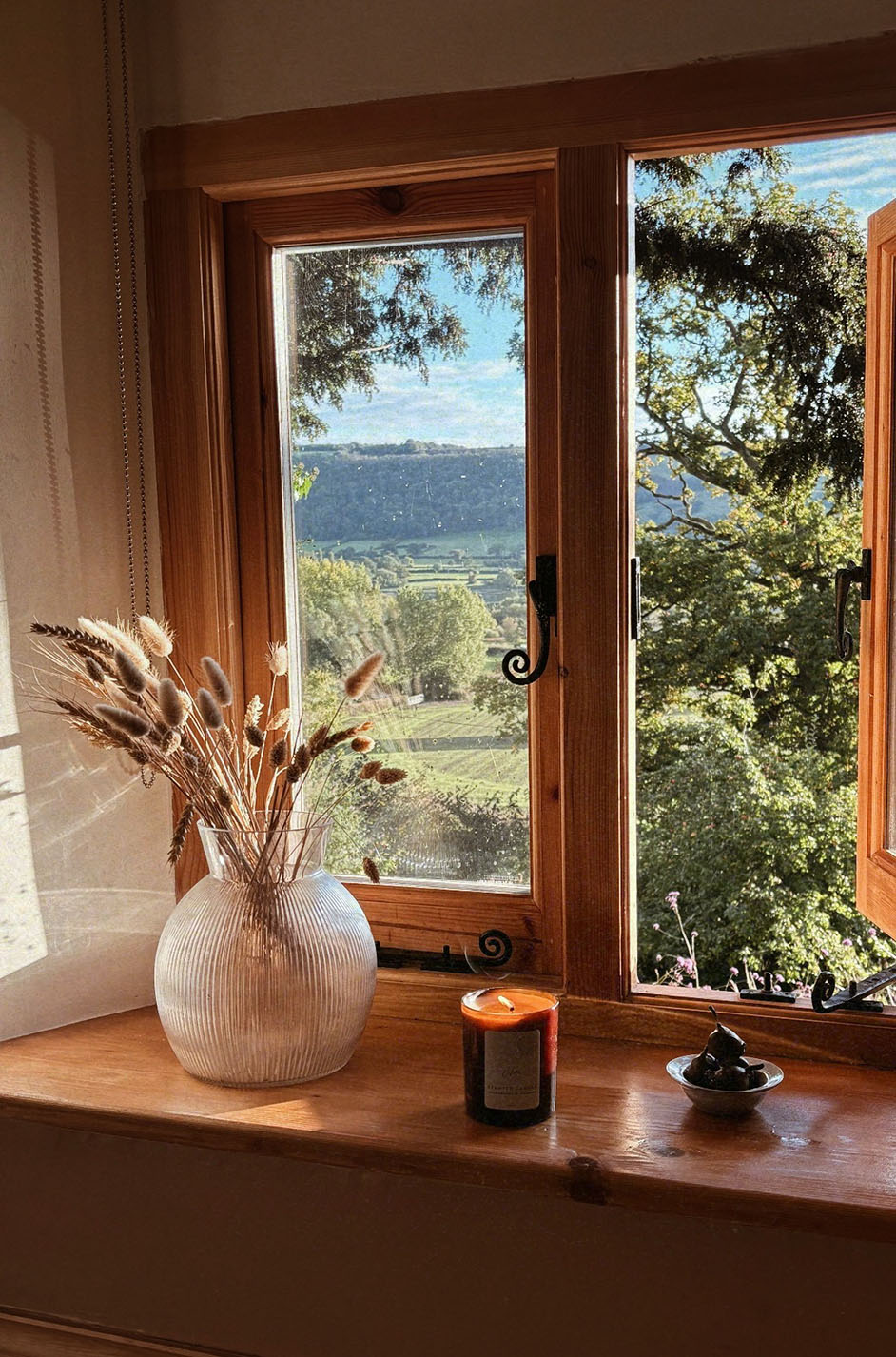 Views from the bathtub at Myrtle Cottage