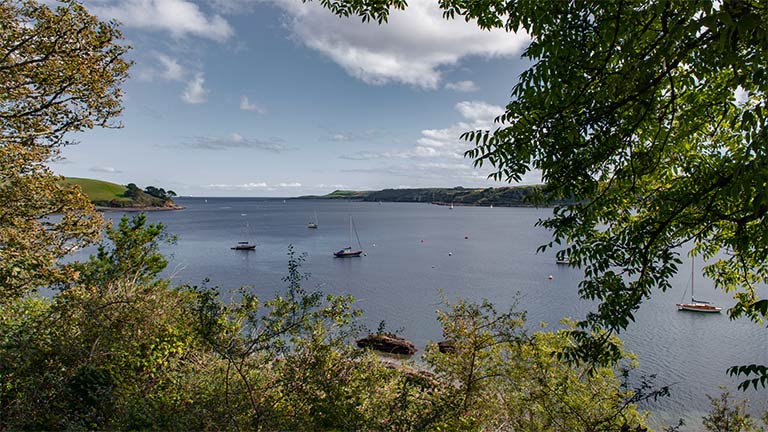 Views overlooking the beautiful, leafy river banks of the Helford, Cornwall