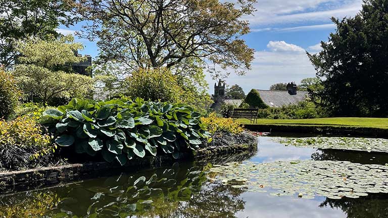 A beautiful lily pond shrouded in lush trees and shrubbery at Cotehele Estate Garden