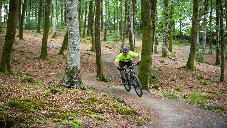 A mountain biker biking along a forest trail at Lanhydrock Estate in Cornwall