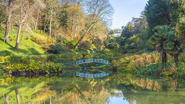 A pretty bridge reflected in the lake at Trebah Garden, surrounded by leafy trees and shrubs