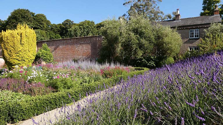 The picturesque walled gardens of Trengwainton, planted with colourful floral borders