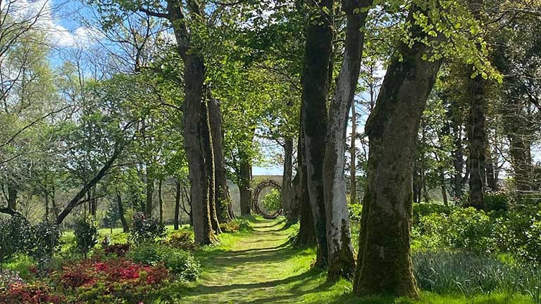 A beautiful tunnel of trees under blue skies at Trewithen Gardens in Cornwall
