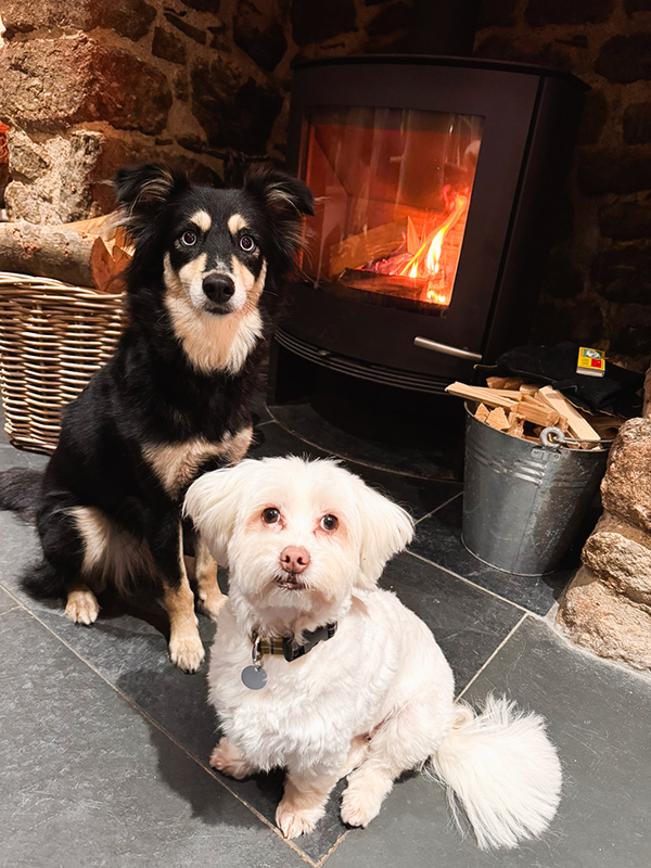 Two dogs in front of the wood burning stove in Crabbers, Mousehole