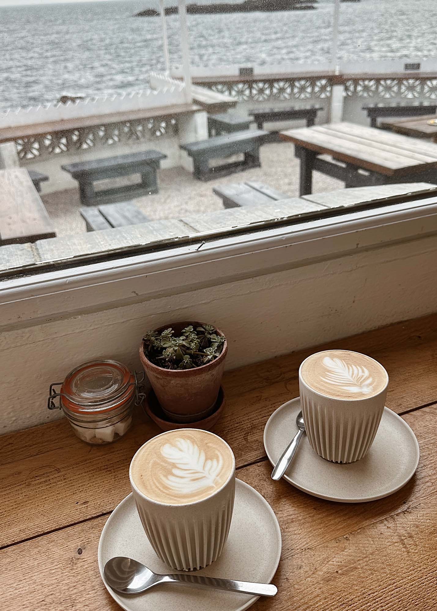 Lattes at The Rock Pool Cafe Mousehole