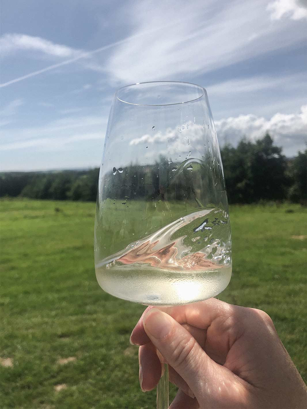 Swilling a glass of white wine at Knightor Vineyard in Portscatho, the Roseland