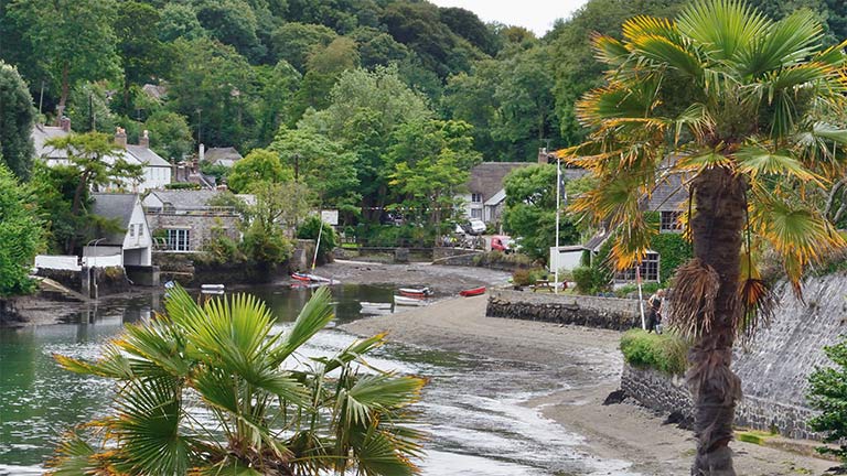The palm-lined village of Helford 