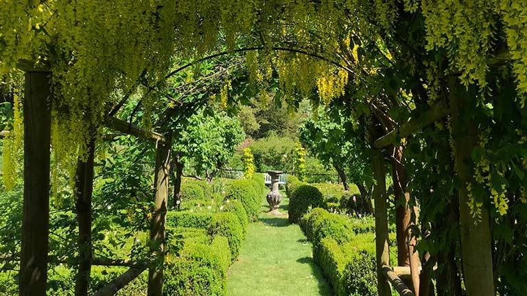 A beautiful green archway at Cerney House Gardens in the Cotswolds