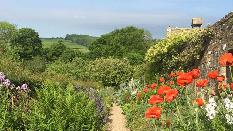 The flower-filled gardens of Snowshill Manor in the Cotswolds