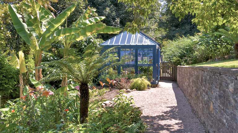 A pretty greenhouse and lots of tropical plants at Overbeck's Garden in South Devon