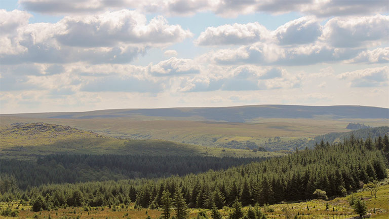 Sweeping panoramas over the rolling countryside and woodland of Dartmoor