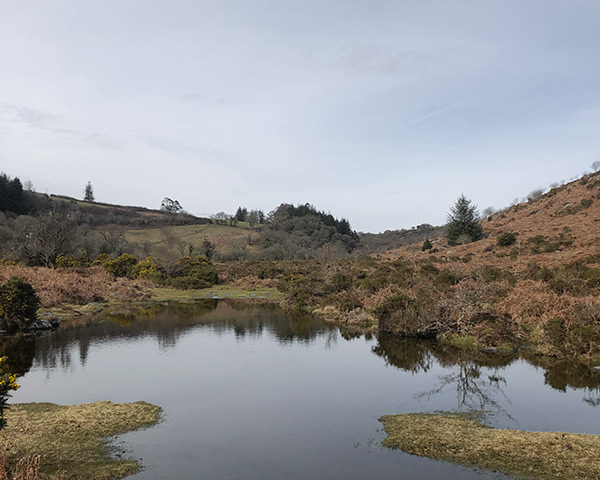 Dartmoor views with a mirror-topped pool on the moors reflecting blue skies