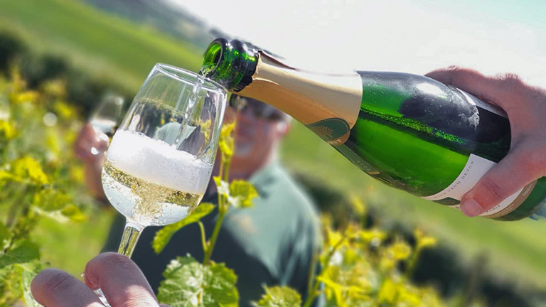 A bottle of sparkling wine being poured into a glass in a vineyard at Dalwood Vineyard