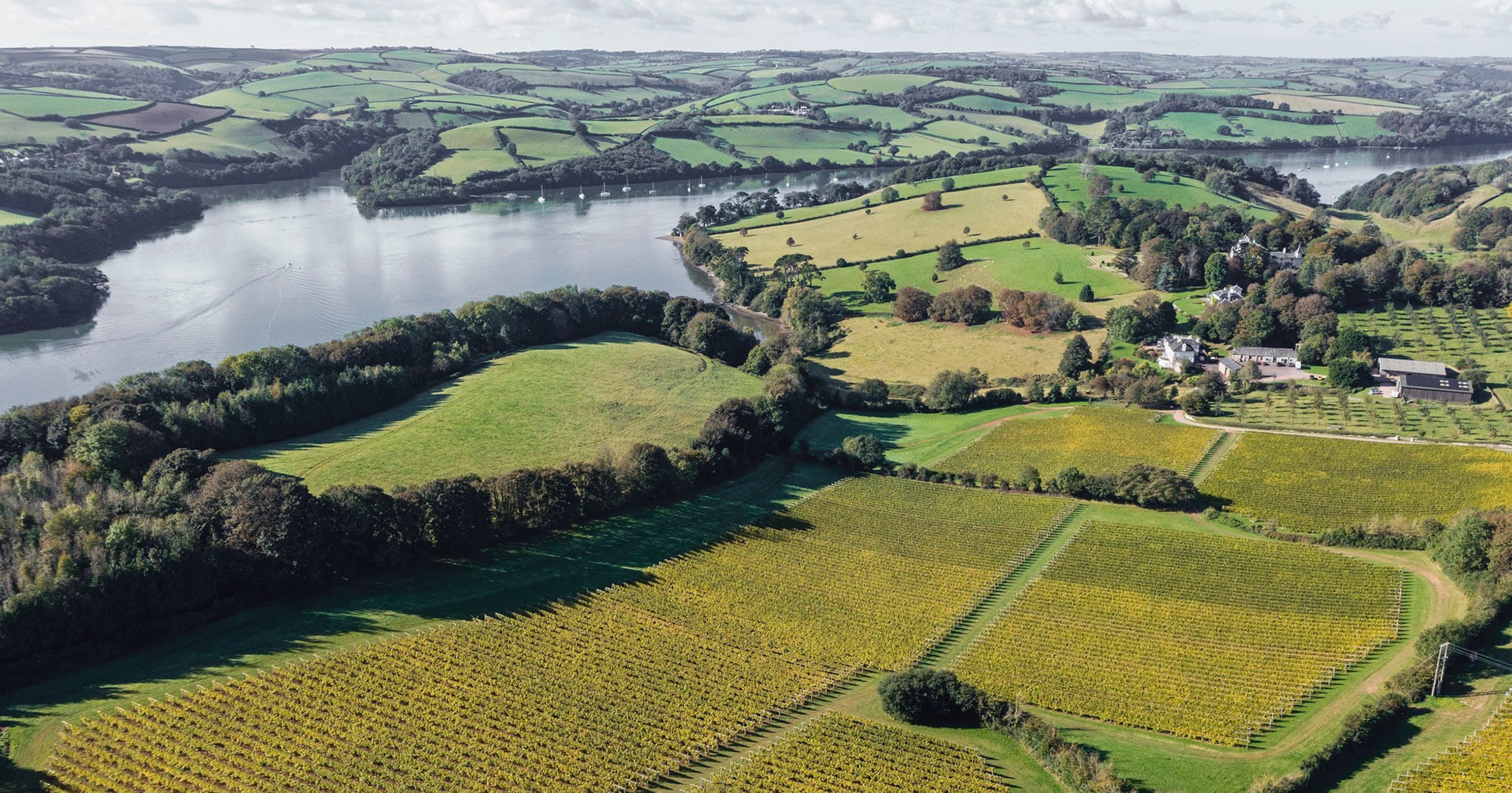 Vineyards in Devon | Boutique Retreats