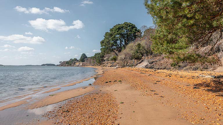The south shore of Brownsea Island in Poole Harbour