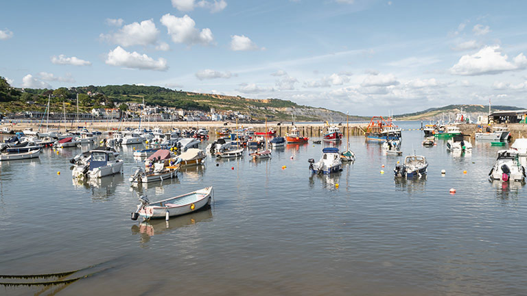 Boats bobbing on the water off Lyme Regis harbour, with beach and seafront cottages in the background