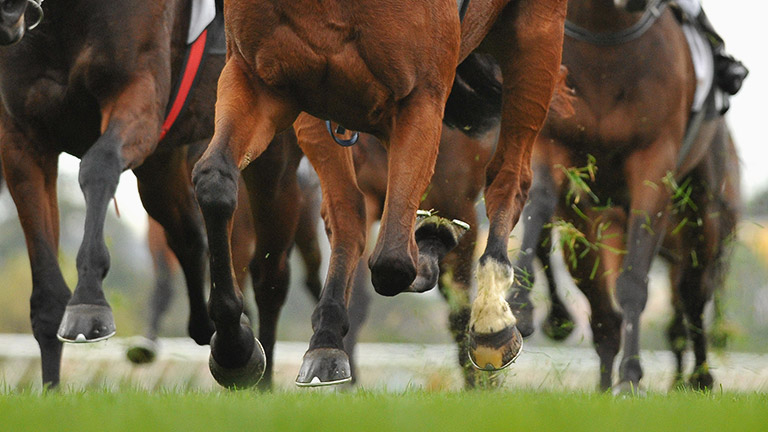 The hooves of racing horses 