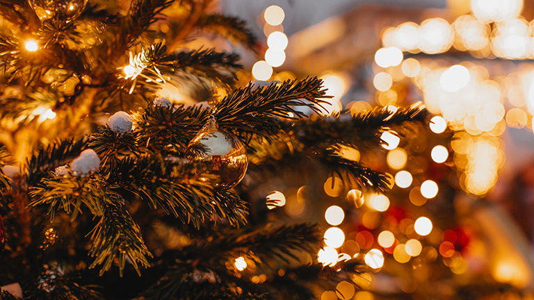 A tree festooned in fairylights at a Christmas market