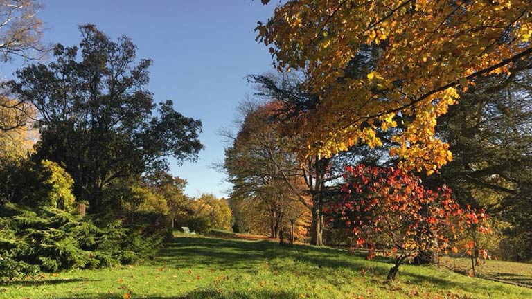 Multi-coloured autumn trees at Miserden Estate