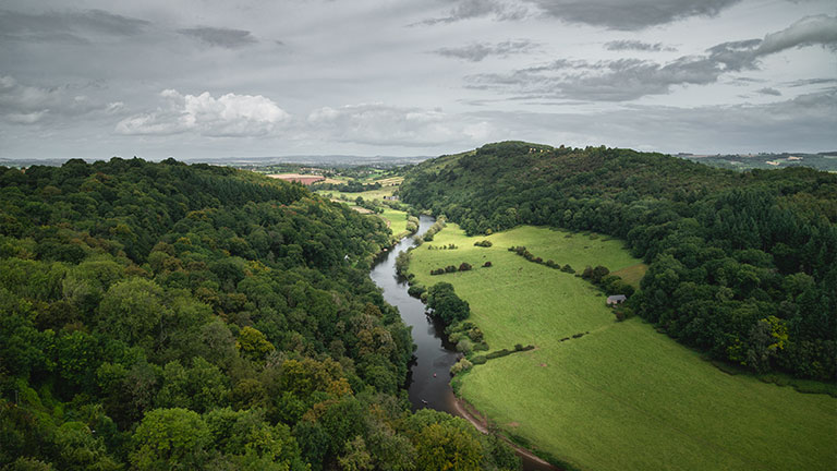 Green fields and trees at Symonds Yat in Gloucestershire