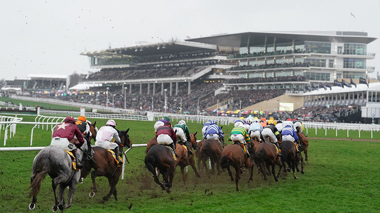 Horses and their jockeys racing around Cheltenham Racecourse 