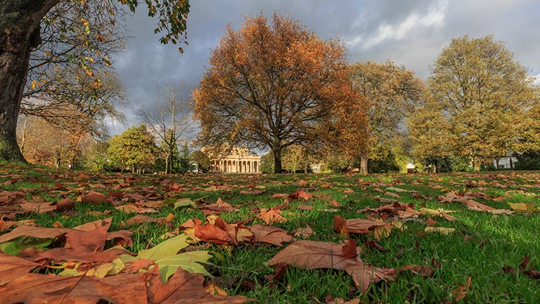 Autumn leaves in the park in Cheltenham