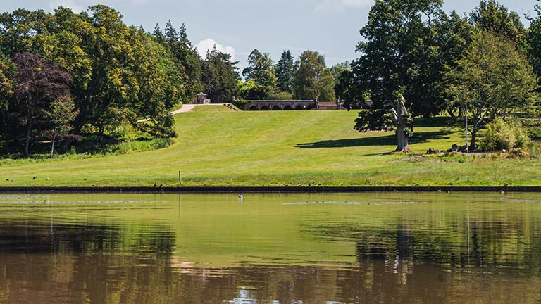 Views across a glassy lake in Staunton Country Park surrounded by greenery