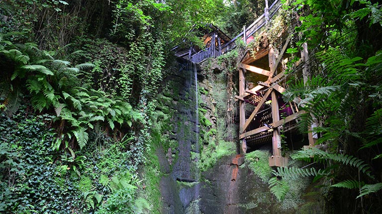 A tumbling waterfall in Shanklin Chine on the Isle of Wight