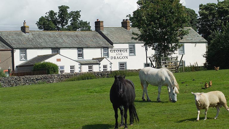 The George and Dragon pub in the Lake District overlooking a lush field with horses