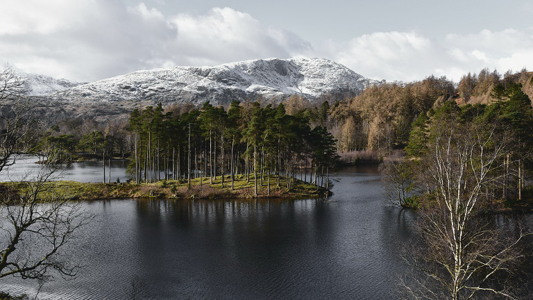 Views over the beautiful Tarn Hows with woodland in the mid-ground and snow-capped mountains in the background